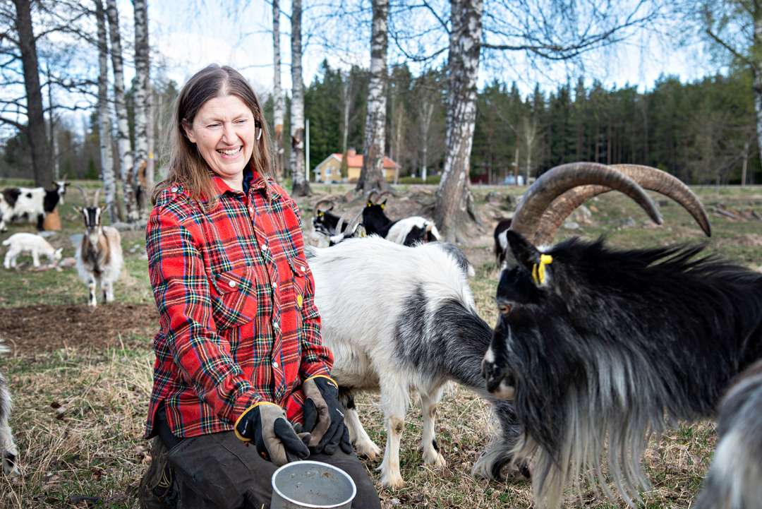 Maria Brook driver en getgård med ostproduktion i Österfärnebo. För henne är en stabil internetuppkoppling nödvändig och hon är glad att hon kunde installera bredband genom Sandnets satsning i området.